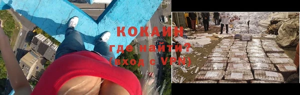 ПСИЛОЦИБИНОВЫЕ ГРИБЫ Сосновый Бор