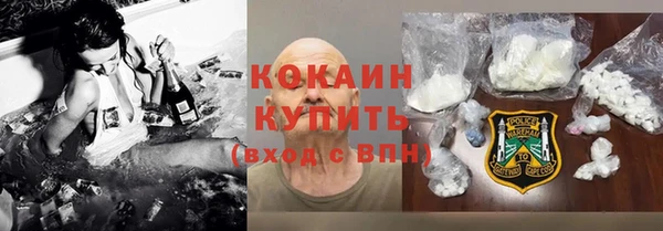 ПСИЛОЦИБИНОВЫЕ ГРИБЫ Сосновый Бор