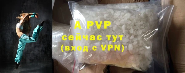 ПСИЛОЦИБИНОВЫЕ ГРИБЫ Сосновый Бор
