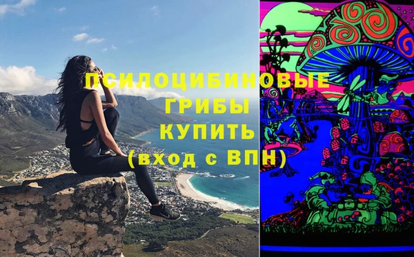 ПСИЛОЦИБИНОВЫЕ ГРИБЫ Сосновый Бор