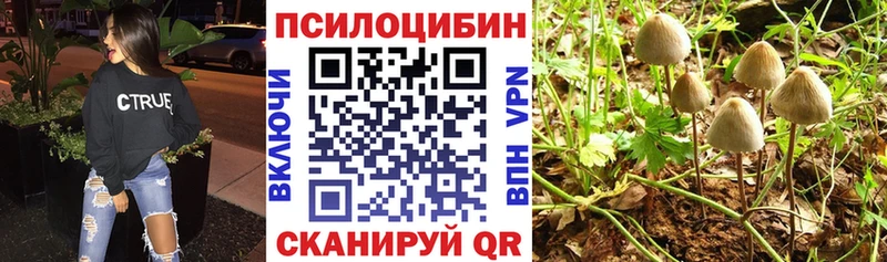 Купить закладки  Северо-Курильск  Псилоцибиновые грибы мухоморы 